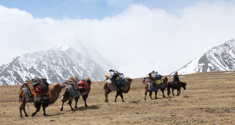 Experimenta Mongolia Occidental y el Festival del Águila Dorada - Unquote Travel 7