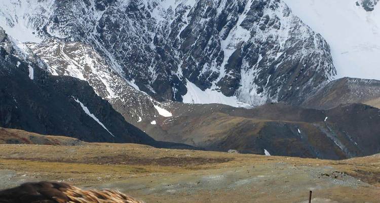 Experimenta Mongolia Occidental y el Festival del Águila Dorada - Unquote Travel 4