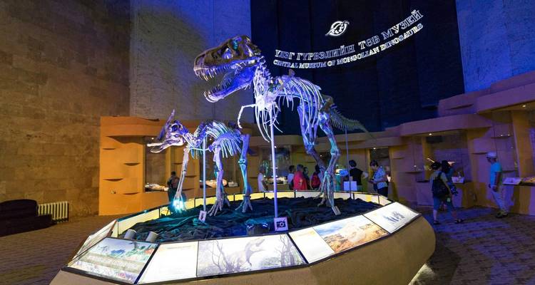 Fossiles exposés dans un musée avec des squelettes de dinosaures.