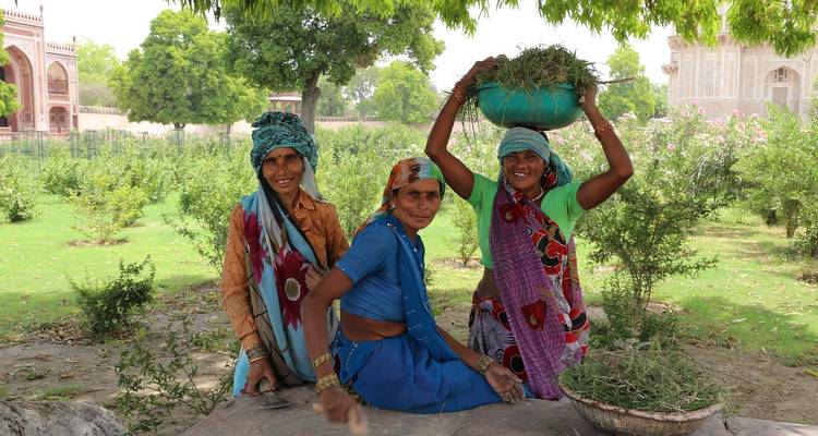 Drei Frauen in bunter Kleidung vor einem grünen Hintergrund.
