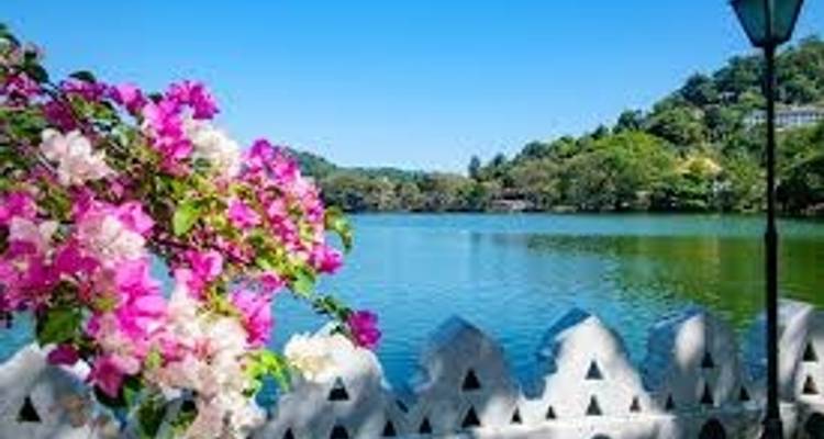 Welcome To Sri Lanka - 08 Days / 07 Nights Tour - Explore Vacations PVT Ltd 9