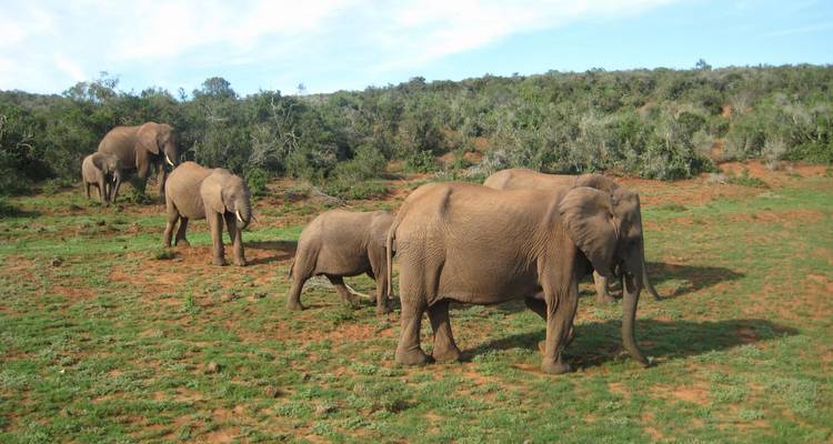 De Nairobi a Johannesburgo - 74 días - de costa a costa - Oasis Overland 10