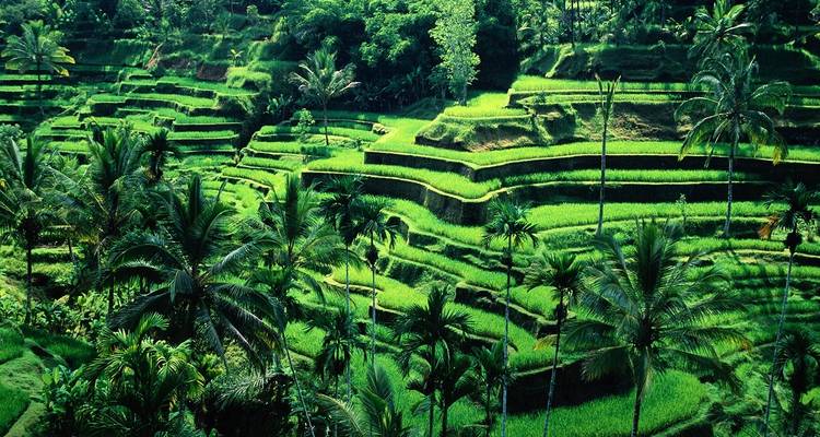 Extension du voyage de 16 jours au Vietnam, en Thaïlande et à Bali - Bravo Indochina Tours 6