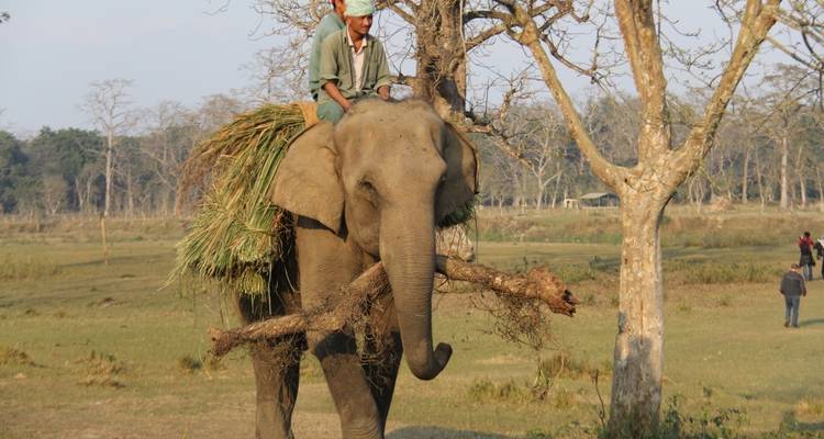9 nuits / 10 jours Népal Safari Chitwan et; Trekking Annapurna Sunrise Mountain View - Trekking Guide Team Adventure 4