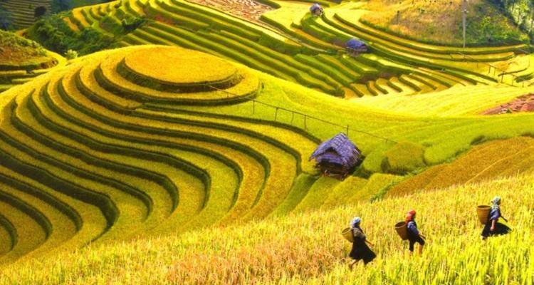 3 Days Sapa Trekking Tour with Overnight Train from Hanoi - Bravo Indochina Tours 6
