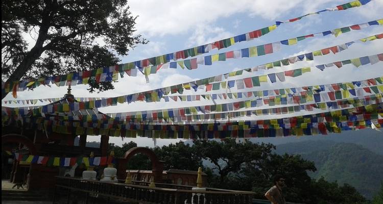 Kleurrijke gebedsvlaggen hangen boven een terras.