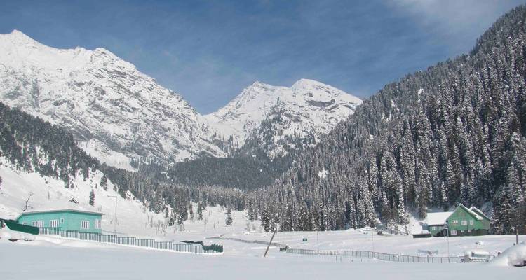 Montagnes et forêts enneigées sous un ciel bleu dégagé.