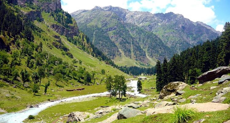 Vallée verdoyante traversée par une rivière.
