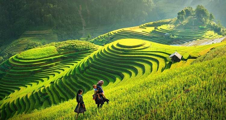 Viajes al norte de Vietnam con Sapa 7 días - Bravo Indochina Tours 2