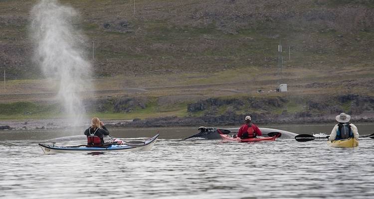 Wild Camp Discovery - Borea Adventures 1