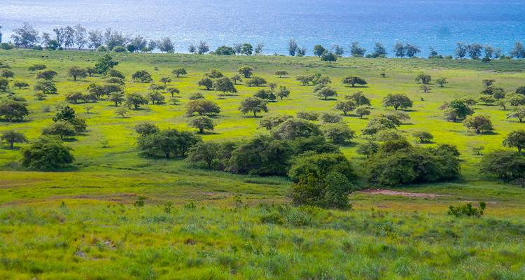 5D4N Sumba Island - Pesona Indo 3