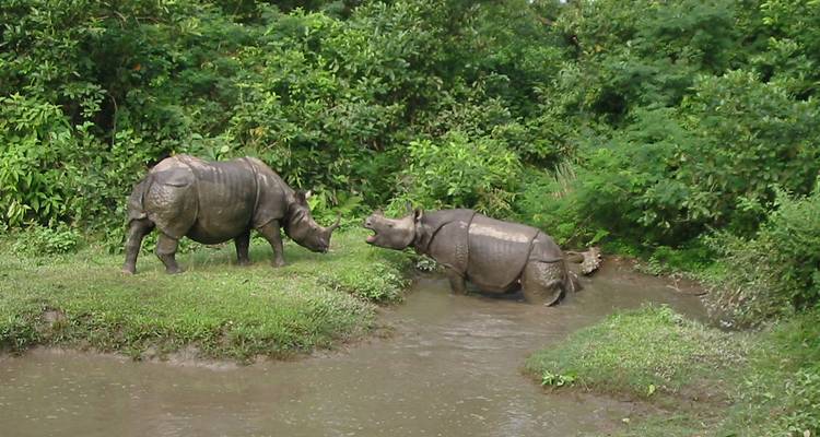 11 Days Experience Nepal Tour - Friendship Nepal Tours & Travels P. Ltd. 4