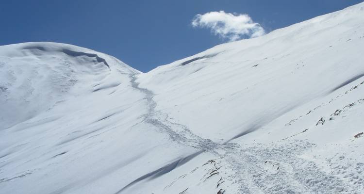 Annapurna Base Camp Holiday - Friendship Nepal Tours & Travels P. Ltd. 6