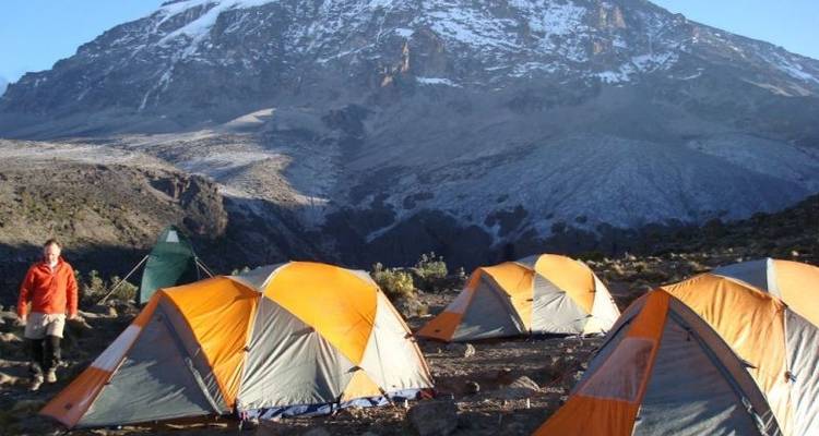 8 Days - Mount Kilimanjaro Climbing - Lemosho route - Serengeti Access Safaris 1