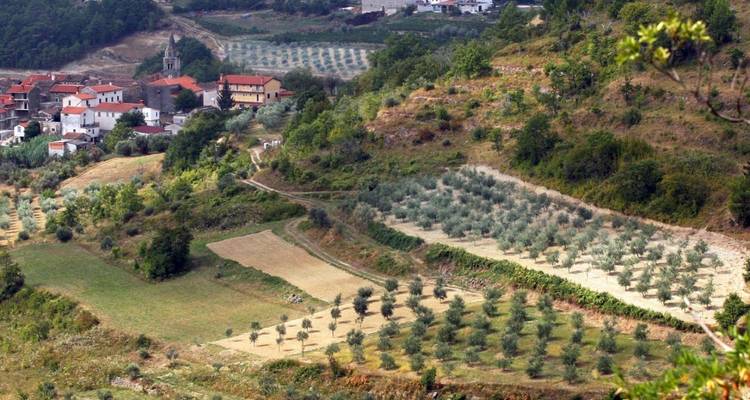 Terraced fields and a small village.