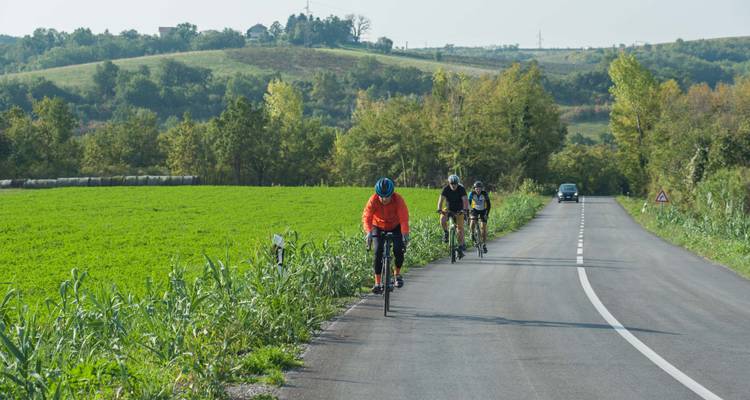 Group of cyclists on a countryside road.