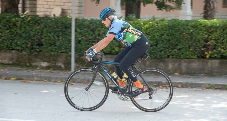 Cyclist riding on a road surrounded by greenery.