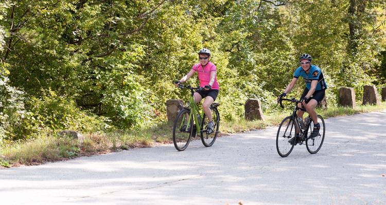 Two cyclists on a road lined with trees and stones.