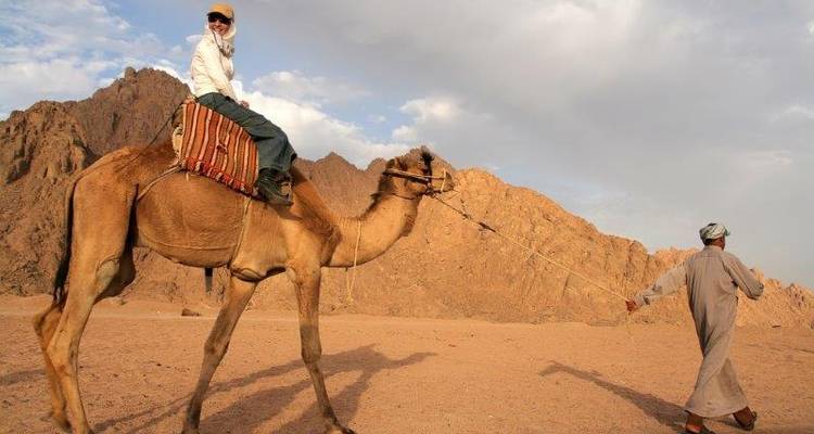 14 day Grand Egypt Tour with 7 nights Nile Cruise - Flo Tours 7