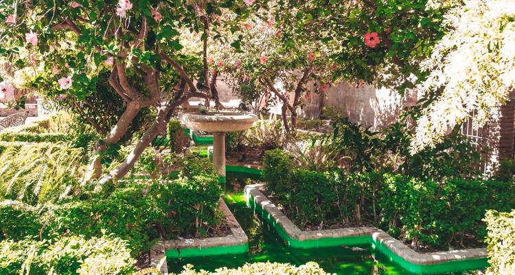 Jardin de cour tacheté de soleil avec une fontaine-bain d'oiseaux en pierre entourée de haies luxuriantes et d'arbres en fleurs, avec des canaux d'eau vert émeraude serpentant à travers la végétation.