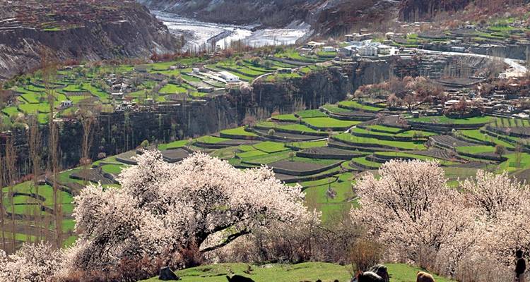 Excursión Hunza Shangri-La - Hunza Explorers 3
