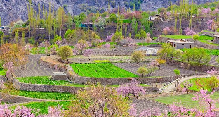 Excursión Hunza Shangri-La - Hunza Explorers 4