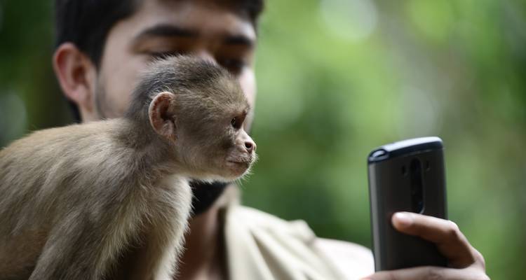 Circuito de 2 días a la selva de Iquitos en Maniti Eco - Lodge - Maniti Expeditions 1