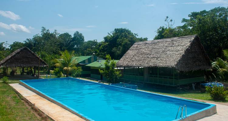 Piscina larga con edificios de techo de paja y exuberante follaje.