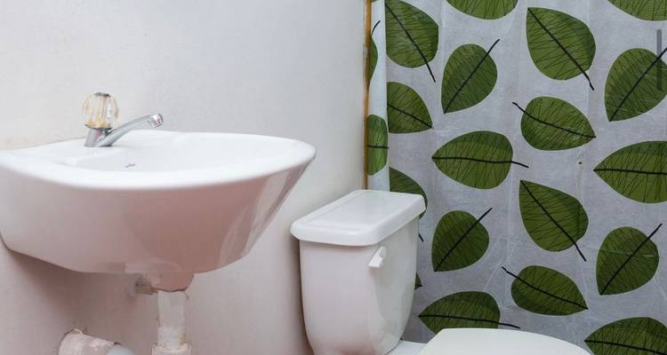 Salle de bain simple avec lavabo, toilettes et rideau de douche.
