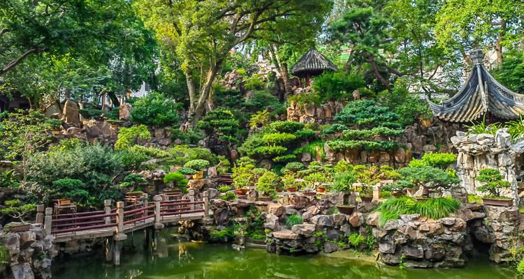 Jardin classique chinois luxuriant avec des ponts sinueux, des rocailles et un étang verdoyant ombragé par des arbres matures.