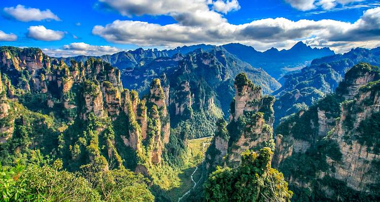 Pilares de cuarcita arenisca dramáticos y verdes valles exuberantes bajo cielos azul brillante en el Parque Nacional Forestal de Zhangjiajie.