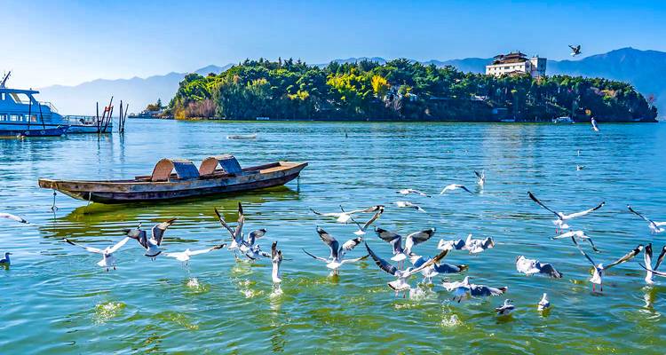 A wooden fishing boat drifts on a shimmering lake while seagulls swoop above the water with distant hills beyond.
