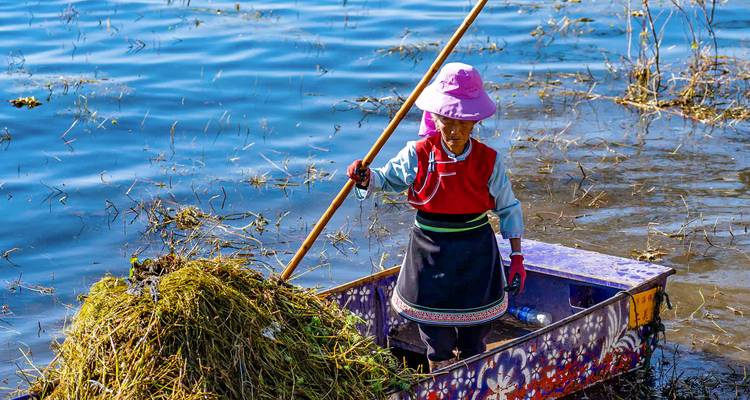 A local woman in traditional attire paddles a small flat-bottomed boat while collecting aquatic plants.
