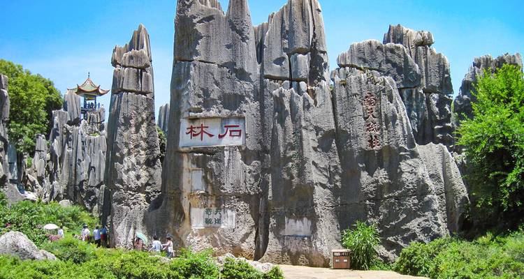 Los imponentes pilares de piedra caliza gris del Bosque de Piedra se elevan dramáticamente mientras los visitantes exploran abajo.