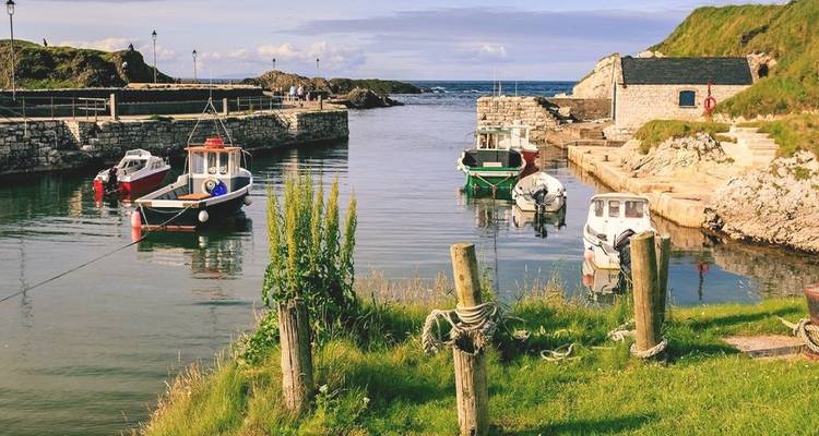 Expérience irlandaise des géants en 5 jours - Circuit en petit groupe - Irish Experience Tours 9