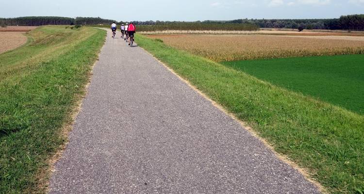 Taste of Italy, Emilia- Romagna Culinary Cycling - Classic Self Guided 8day - Goût de l'Italie, cyclisme culinaire en Émilie- Romagne - 8 jours - BikesPlus Travel 4