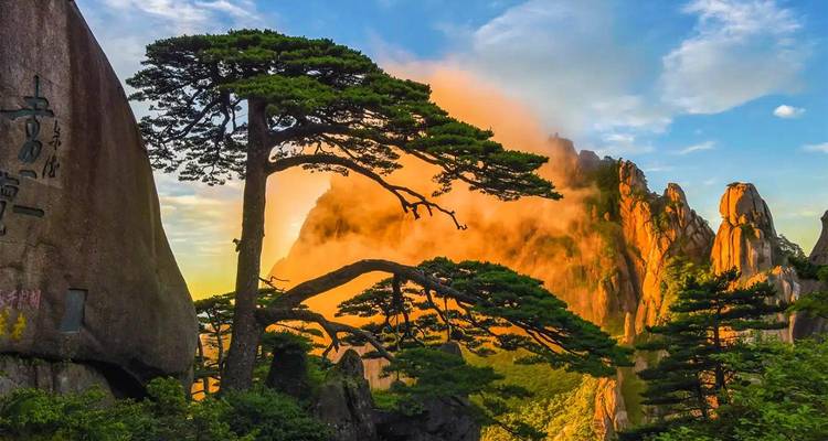 Dramatisch zonsopgangslicht en mist die over de scherpe granietentoppen en dennen van berg Huangshan glijden.