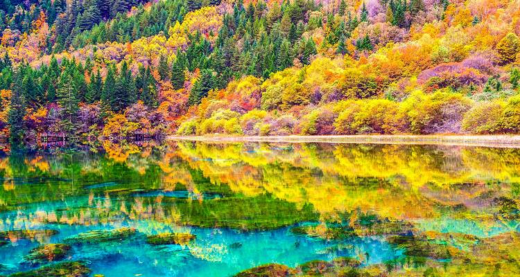Vacances sur mesure en Chine avec Jiuzhaigou et Pandas, départ quotidien - TravelChinaGuide 6