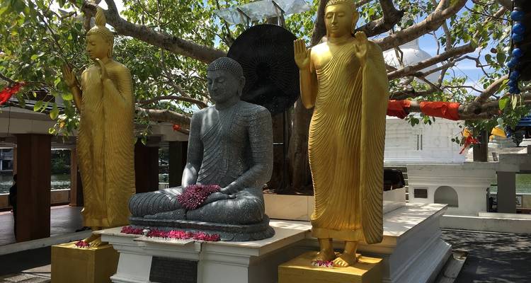 Sri Lanka Classic Tour (5 Days) - Total Travel Solution (Pvt) Ltd 9