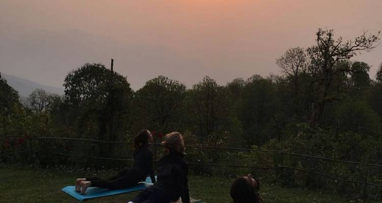Ghorepani Poon Hill Yoga Trek - Trekking Planner Pvt. Ltd. 7