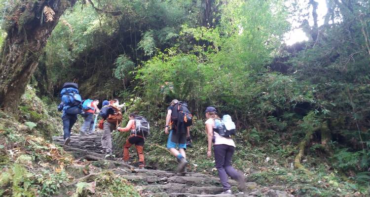 Ghorepani Poon Hill Yoga Trek - Trekking Planner Pvt. Ltd. 2