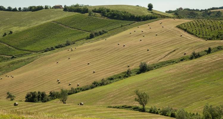 La Romagne à vélo, le cœur de l'Italie des pâtes faites maison - Visite libre classique - BikesPlus Travel 4