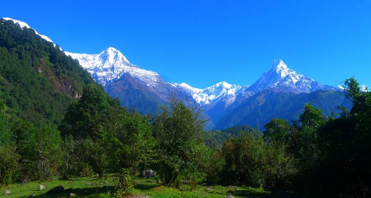 Luxury Trekking In Annapurna - Trekking Planner Pvt. Ltd. 1