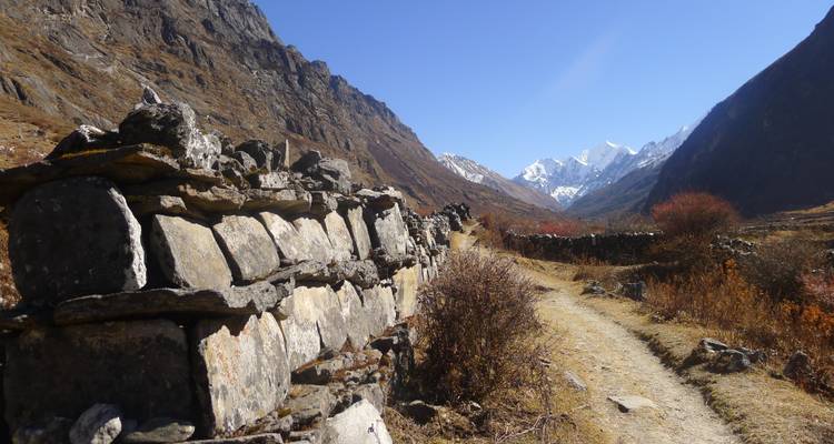 Slow And Easy Trekking In Langtang - Trekking Planner Pvt. Ltd. 6