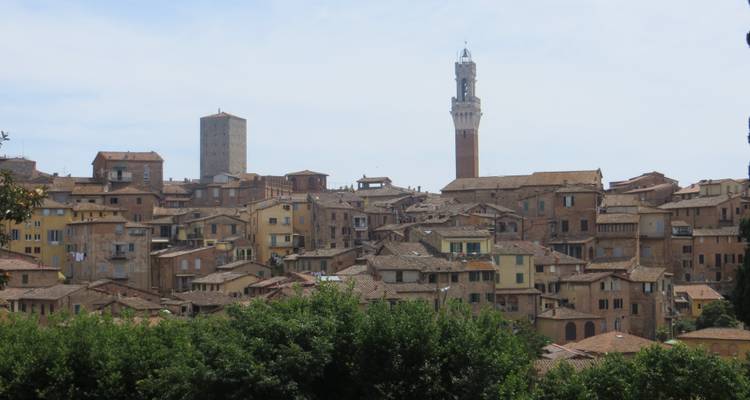Carte postale du sud de la Toscane - Cyclisme Cortona, Montalcino, Sienne - Classic Self Guided - BikesPlus Travel 7