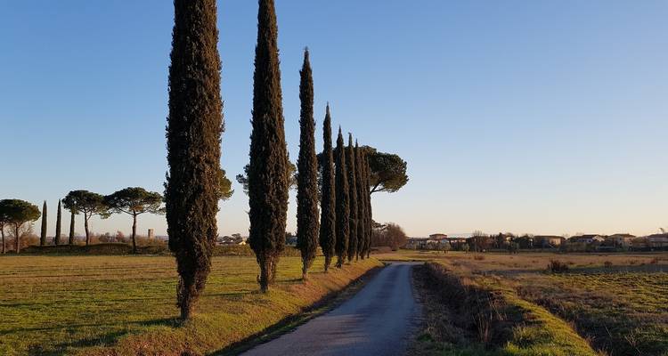 Carte postale du sud de la Toscane - Cyclisme Cortona, Montalcino, Sienne - Classic Self Guided - BikesPlus Travel 3