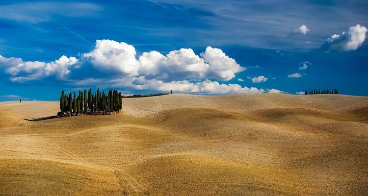 Carte postale du sud de la Toscane - Cyclisme Cortona, Montalcino, Sienne - Classic Self Guided - BikesPlus Travel 4