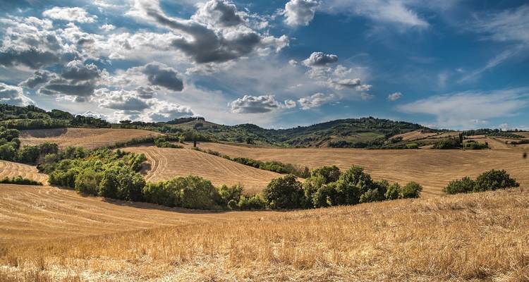 Carte postale du sud de la Toscane - Cyclisme Cortona, Montalcino, Sienne - Classic Self Guided - BikesPlus Travel 2