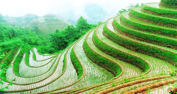 Aventura personalizada en China a pueblos étnicos, salida diaria - TravelChinaGuide 8