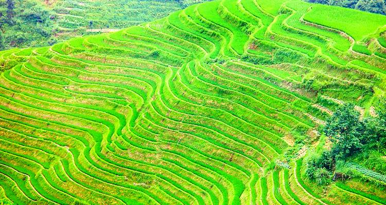 Tailor-Made Guilin Trip with Cruise, Daily Depart & Private Guide - TravelChinaGuide 4